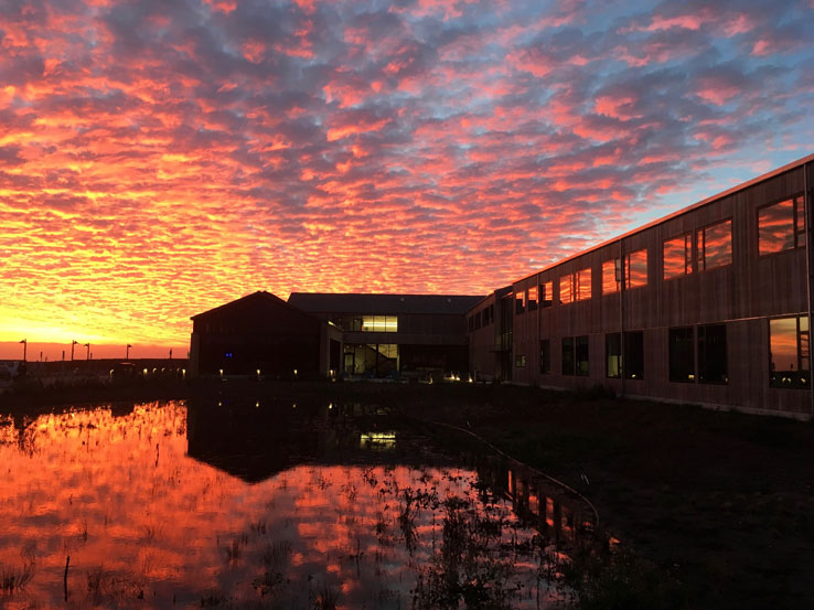 Coastal Biology Building at sunset when the moat is full