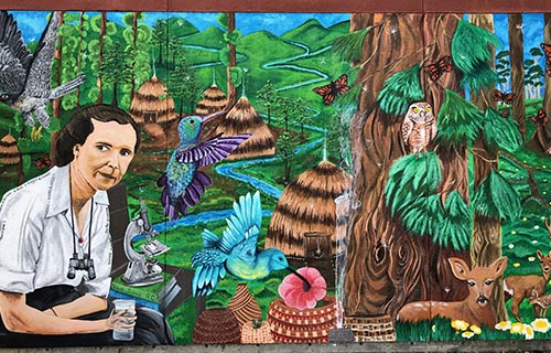 A mural of Rachel Carson completed by the Rachel Carson College Student Council