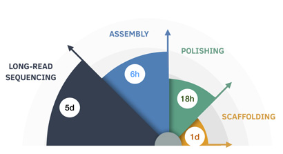 assembly-diagram-410.jpg