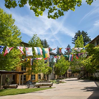 A collection of international flags hangs between the College Nine residential buildings
