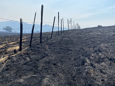 burned field and fence