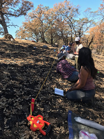 researchers in burned woodland