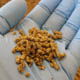 A scientist holds pellets of the new fish feed in a gloved hand.
