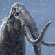 mammoths-illustration-thumb.jpg