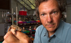 Influential evolutionary biologist Barry Sinervo dies