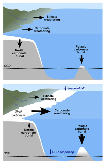 diagrams of different sea levels and deposition processes