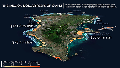 million-dollar-reefs-500.jpg