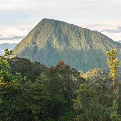 Climate change sends tropical species racing to higher elevations while  temperate counterparts lag behind