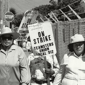 Canning Strike, Courtesy UC Santa Cruz Special Collections