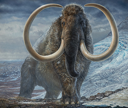 mammoth-illustration-450.jpg