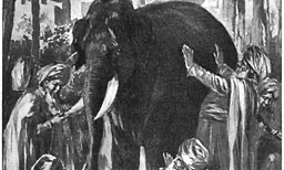 The Research University and the Elephant