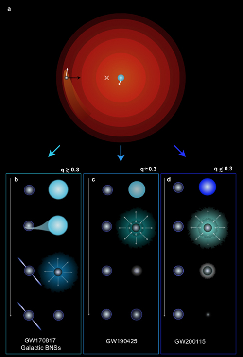 diagram of stages in binary neutron star formation
