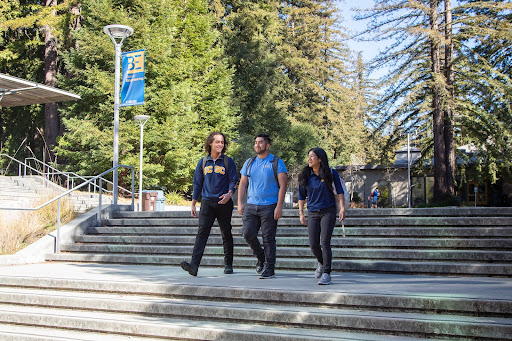 Record applications enable UC Santa Cruz to build strong, diverse fall class