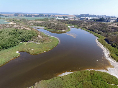 aerial view of Younger Lagoon