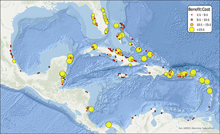 map of potential sites for mangrove restoration