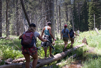 Students walk along a log above a stream, amid a forest with dry trees.