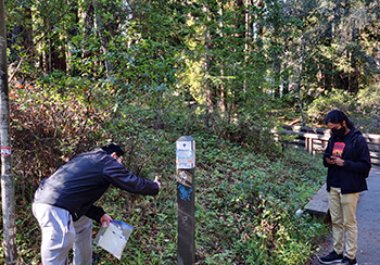 Students scans his phone to a AR marker in a wooded area on the UCSC campus.