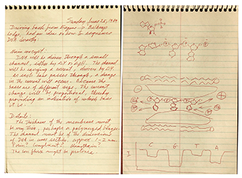 Handwritten, red-ink note on yellow paper describes the original nanopore sequencing idea