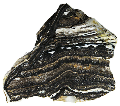 rock sample with dark and light stripes