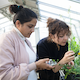 Students study in the greenhouse