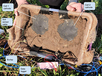 A microbial fuel cell - a layer of mud over burlap with wires connected.