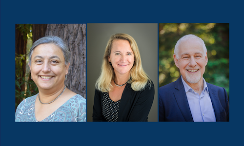 Three UCSC faculty named 2022 AAAS fellows