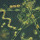 microscope image of phytoplankton