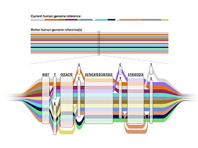 Pangenome sequence tube map