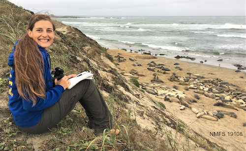 Roxanne Beltran sitting on bluff above elephant seals at Año Nuevo Natural Reserve