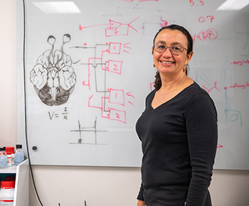 Sofie Salama smiles in front of a whiteboard with a drawing of a brain