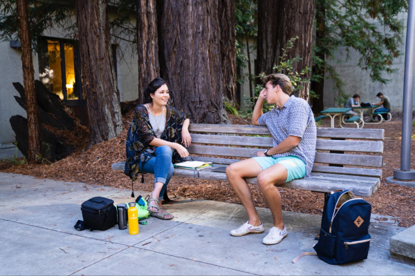 Students sitting on a bench and talking