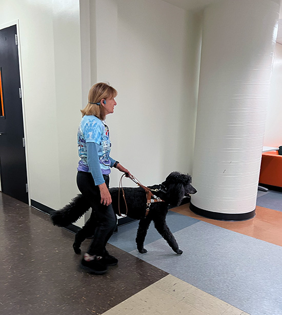 A blind person wearing a headset walks down a hallway with a poodle guide dog.