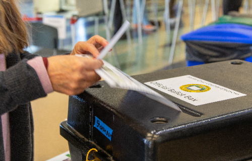 A voter casts their ballot.