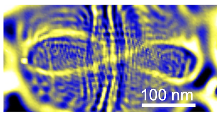 Microscope image of quantum scars