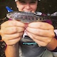 UC Santa Cruz student holding baby fish