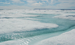 Coastal sea ice drives ocean circulation, climate