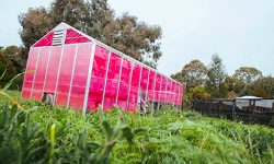 This solar greenhouse may change the way we eat
