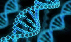 Data science to tackle privacy needs in genomics