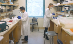 UCSC Minute: Inside the Molecular Diagnostic Lab