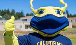 Slugs help make campus a COVID-19 success story