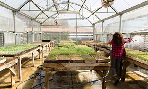 USDA funds three UCSC-led ag tech projects