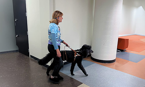 New apps enabling safer indoor navigation for blind people