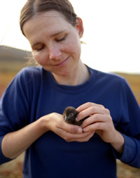 UCSC graduate student’s research leads to environmental victory in Coronado Islands