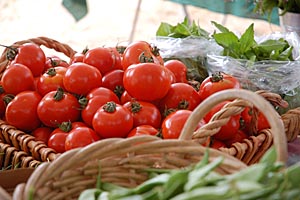 Varieties galore at this year’s UC Santa Cruz Farm Spring Plant Sale May 5-6