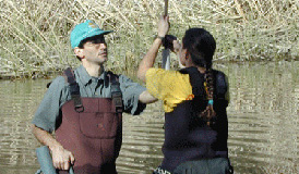 UCSC hydrogeologist provides expert advice on Pajaro Valley’s water supply