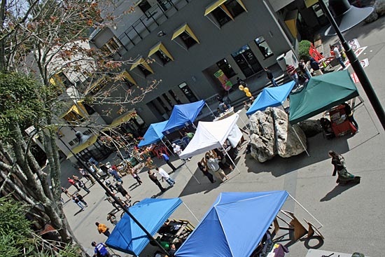 Spring’s the thing at Quarry Plaza