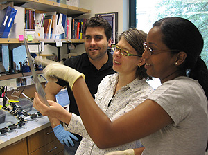 Success for senior Shewit Tekeste was inspired by African upbringing and fostered at UCSC
