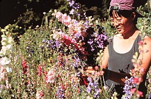 Learn to make beautiful bouquets at the Farm & Garden June 21
