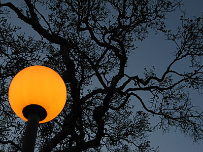 Honorable mention photos capture serenity of UCSC