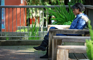 New general education requirements emphasize bold interdisciplinary themes, global engagement